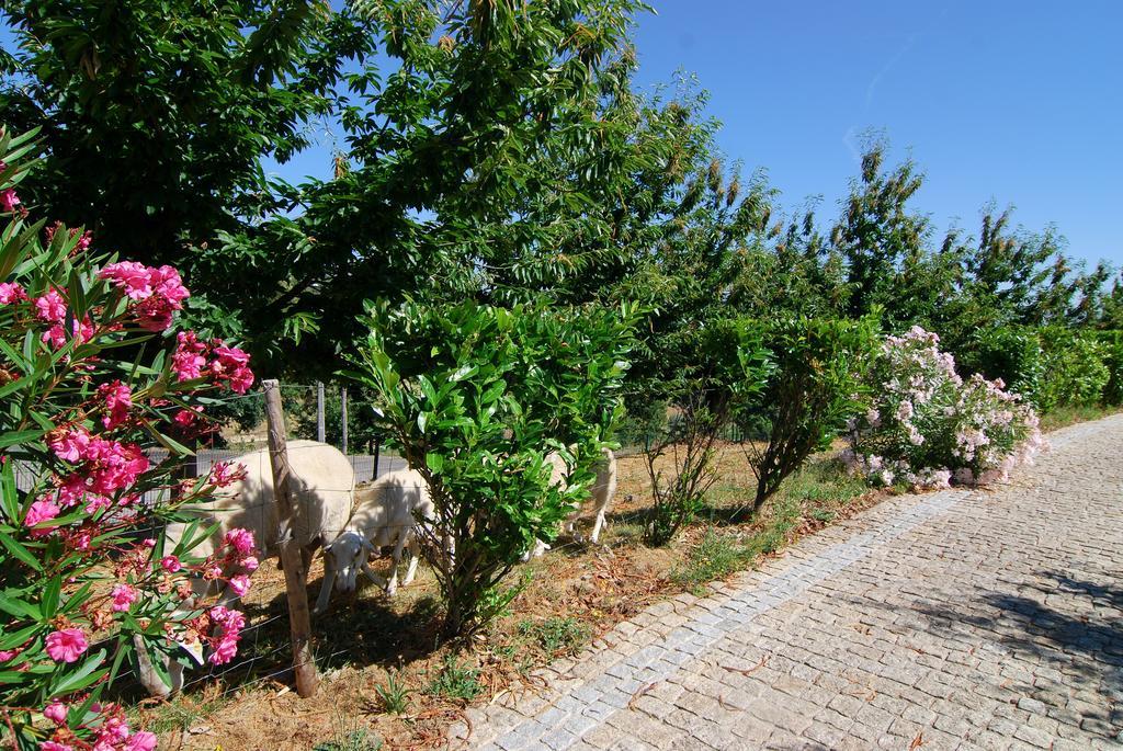 Quinta Do Alto Villa Celorico De Basto Exterior foto